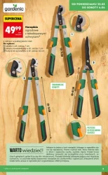 Wiosenne inspiracje ogrodowe – Biedronka