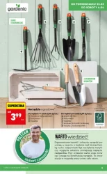 Wiosenne inspiracje ogrodowe – Biedronka