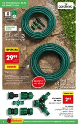 Wiosenne inspiracje ogrodowe – Biedronka