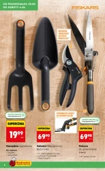 Wiosenne inspiracje ogrodowe – Biedronka