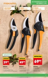 Wiosenne inspiracje ogrodowe – Biedronka