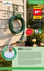 Wiosenne inspiracje ogrodowe – Biedronka