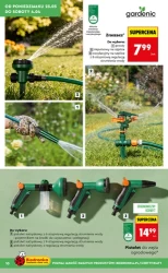 Wiosenne inspiracje ogrodowe – Biedronka