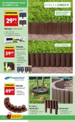 Wiosenne inspiracje ogrodowe – Biedronka