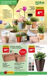 Wiosenne inspiracje ogrodowe – Biedronka