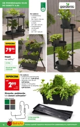 Wiosenne inspiracje ogrodowe – Biedronka