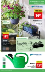 Wiosenne inspiracje ogrodowe – Biedronka