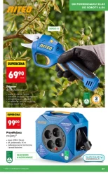 Wiosenne inspiracje ogrodowe – Biedronka