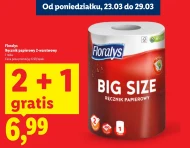 Ręcznik papierowy Floralys