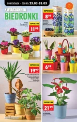 Smaki na każdy dzień – Biedronka