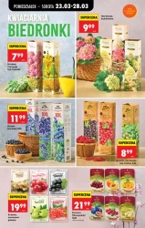 Smaki na każdy dzień – Biedronka