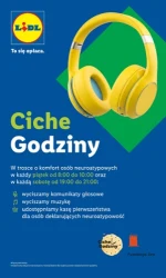 Tydzień pełen okazji przemysłowych – Lidl