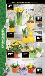 Smaczny tydzień pełen okazji – Delikatesy Centrum