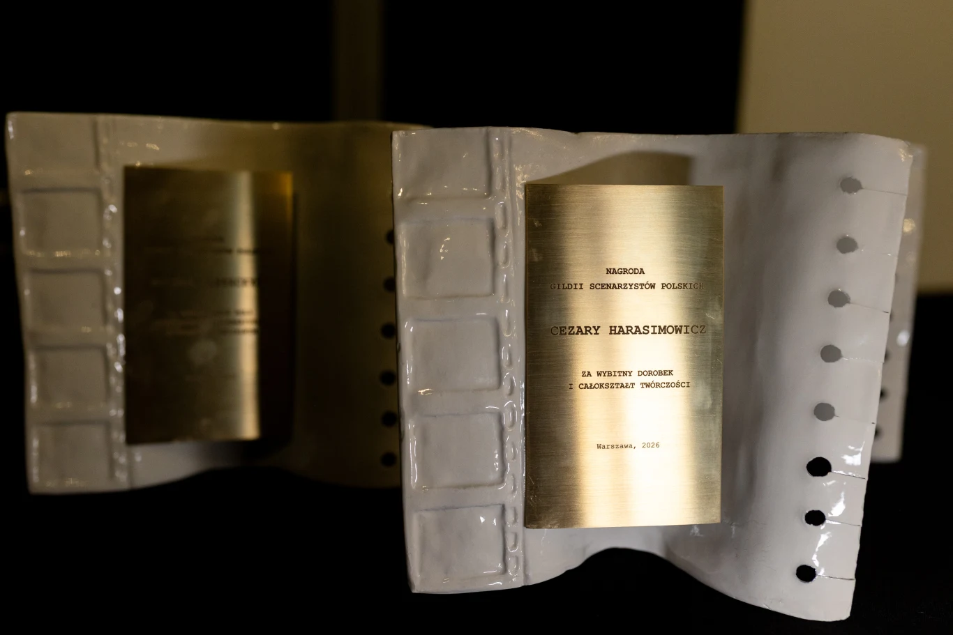 Statuetka wykonana z białego materiału w kształcie fragmentu taśmy filmowej, z zamocowaną na środku metalową tabliczką z grawerem imienia, nazwiska oraz treścią wyróżnienia.