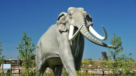 Palaeoloxodon antiquusbył jednym z największych słoni i ssaków lądowych w dziejach