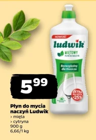 Płyn do naczyń Ludwik