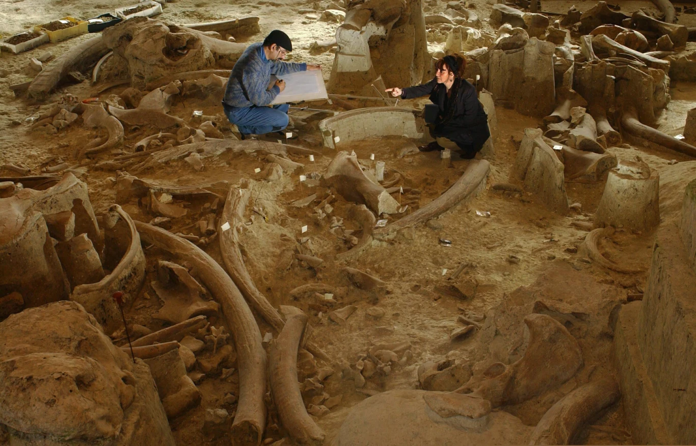 dwóch archeologów pracuje w miejscu wykopalisk, otoczonych dużą ilością kości i kłów, prawdopodobnie należących do prehistorycznych zwierząt, jeden z nich pokazuje coś na ziemi, a drugi sporządza notatki na dużej kartce