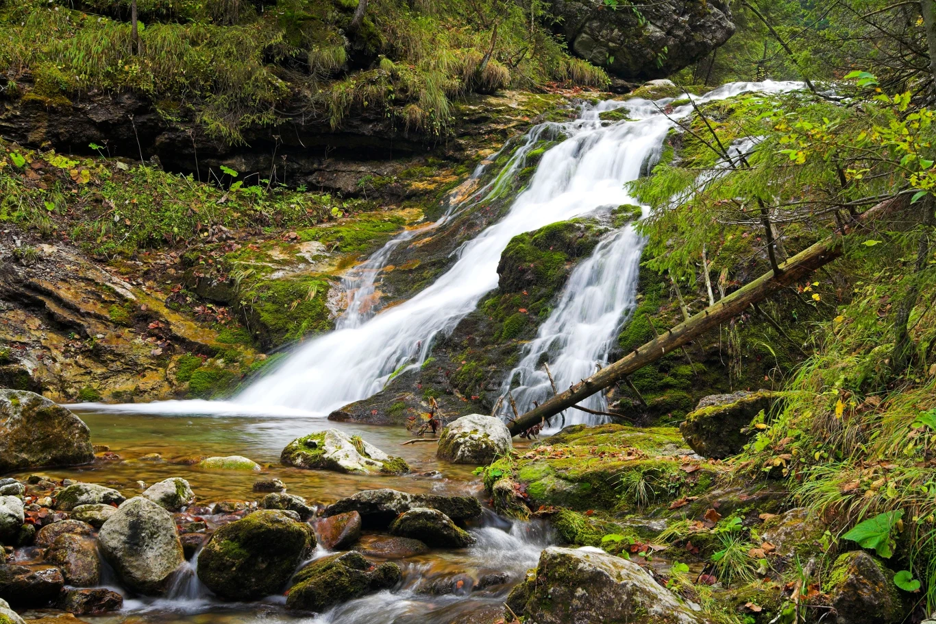Dolina Strążyska. Ten szlak prowadzi do pięknego wodospadu. Wodospad Siklawica w Dolinie Strążyskiej, spływający po omszałych skałach, otoczony zielenią.