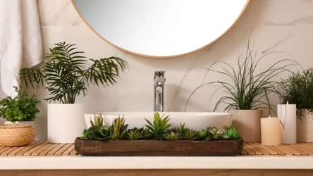 Idealne rośliny do ciemnej łazienki to te, które lubią cień i wilgoć. Istnieją gatunki, które w takich warunkach będą zdrowo rosnąć i zachwycać.