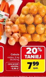 Cebula Polski
