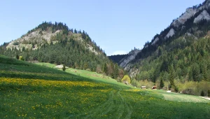 Wąwóz Szopczański i Przełęcz Szopka w Pieninach - malownicza trasa dla każdego