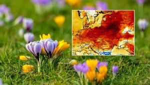 Dzień wypełniony wiosną. Noc zdecydowanie gorsza