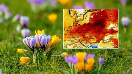 Pogoda będzie wiosenna i spokojna w praktycznie całej Polsce. W nocy nadejdą intensywniejsze opady deszczu