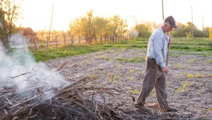 Palenie gałęzi po wiosennych porządkach może zakończyć się wysoką karą.