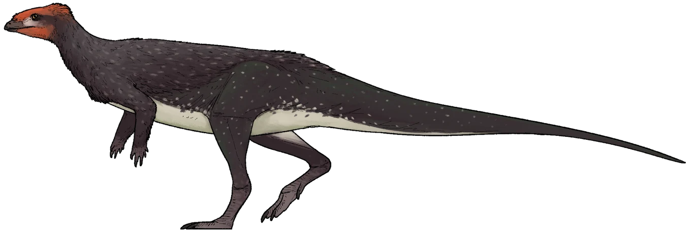 Ciemny dinozaur dwunożny o smukłej sylwetce, długim ogonie i pomarańczowym, lekko zgrubiałym czubku głowy, pokryty drobnymi białymi plamkami na grzbiecie oraz jasnym brzuchem.
