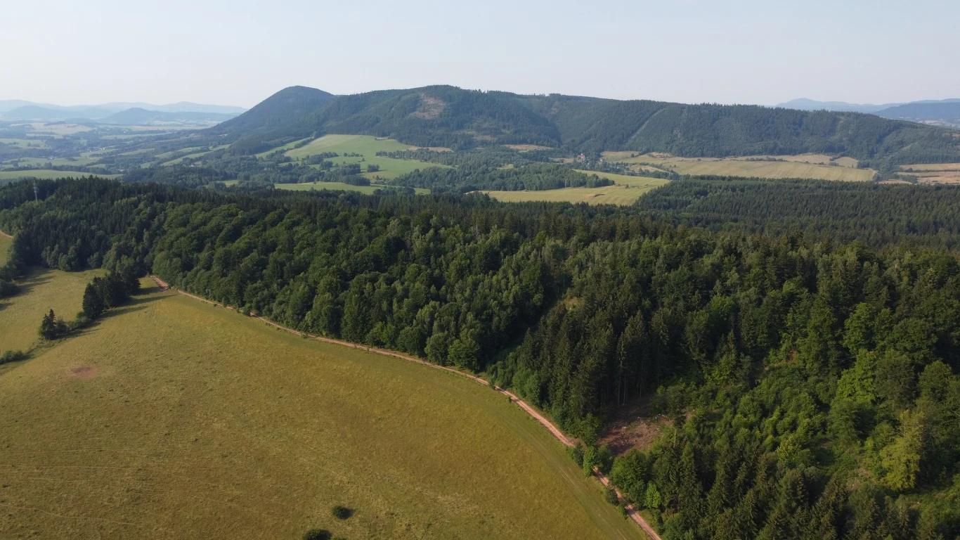 Góry Jastrzębie to idealne miejsce na spacer wiosną Krajobraz Gór Jastrzębich z widocznym lasem, polanami i ścieżką biegnącą wzdłuż lasu wiosną