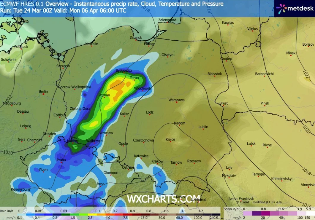 Intensywna strefa opadów deszczu w odcieniach żółci i zieleni rozciąga się od południowo-zachodniej części Polski przez centrum aż po północ kraju, otoczona słabszymi opadami oznaczonymi na niebiesko; mapa pokazuje także izobary i główne miasta regionu.