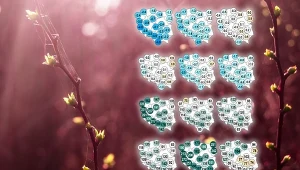 Pogoda położy się cieniem na ważnym święcie. Wyraźnie widać to w prognozach