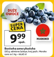 Чорниця Maroko