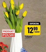 Bukiet tulipanów Tulipany