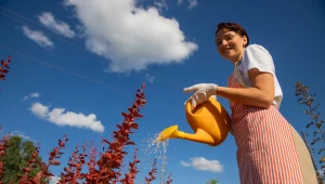 Kleszcze wiosną wykazują się dużą aktywnością. Aby się ich pozbyć z ogrodu, warto wykorzystać domowe metody. Wykonywanie pewnego oprysku skutecznie je odstraszy.