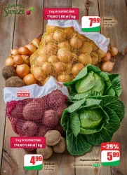 Apetyt na oszczędności – Dino