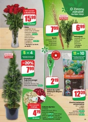 Apetyt na oszczędności – Dino