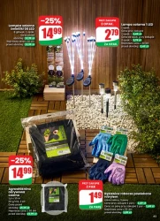 Apetyt na oszczędności – Dino