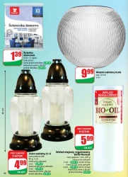 Apetyt na oszczędności – Dino