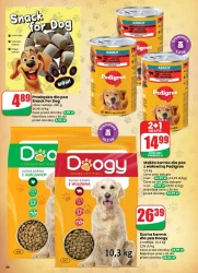 Apetyt na oszczędności – Dino