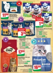 Apetyt na oszczędności – Dino