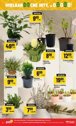 Najlepsze produkty w super cenach – POLOmarket