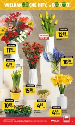 Codzienne zakupy - POLOmarket