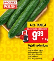 Огірки Polski