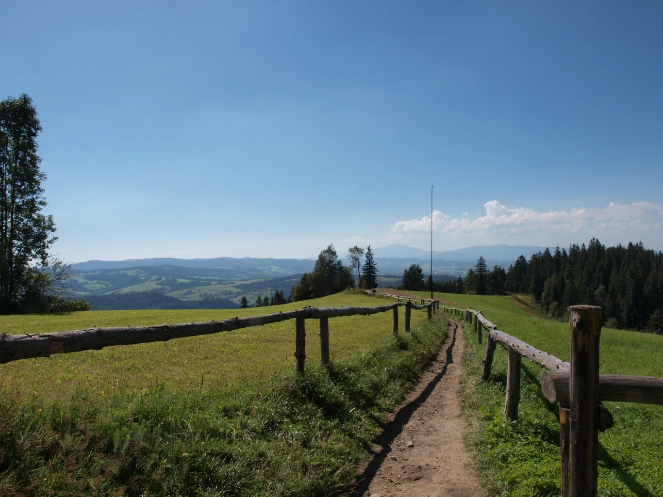 Szlak na Maciejową zawsze zachwyca cudownymi widokami. Do tego wiosną często można podziwiać tam krokusy Szlak na Maciejową koło Rabki-Zdroju zachwyca cudownymi widokami. Wiosną zobaczysz tam krokusy