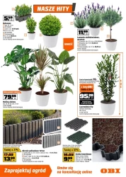 Czas na ogród – OBI