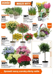 Czas na ogród – OBI