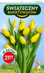 Смачно і дешево - Żabka