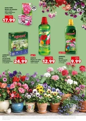 Wiosenne inspiracje - Kaufland