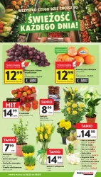 Świąteczne hity dla całej rodziny - Intermarché